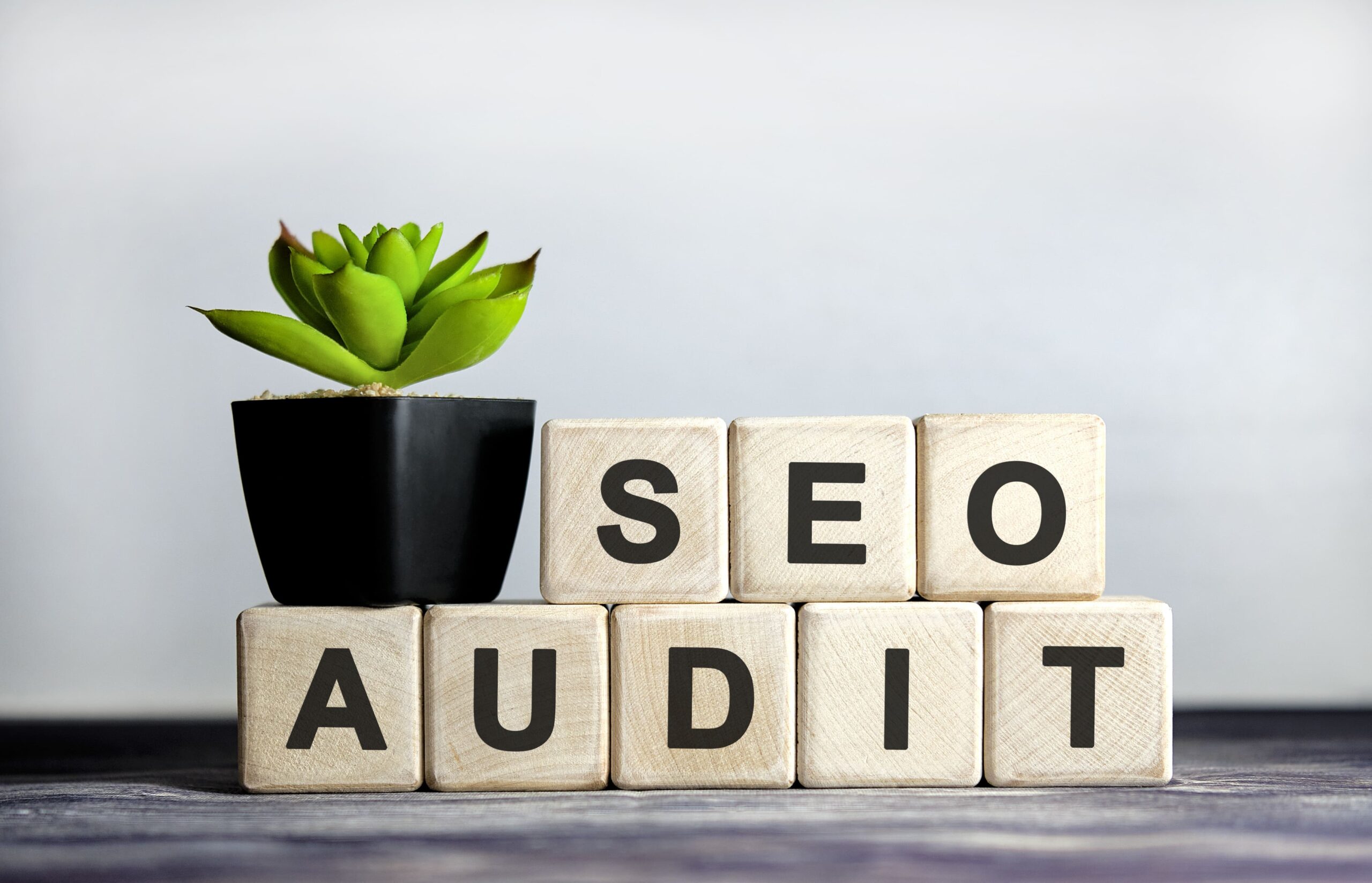 audit seo